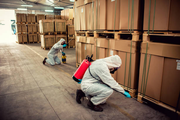 Best Best Pest Control Companies  in Whitewater, WI