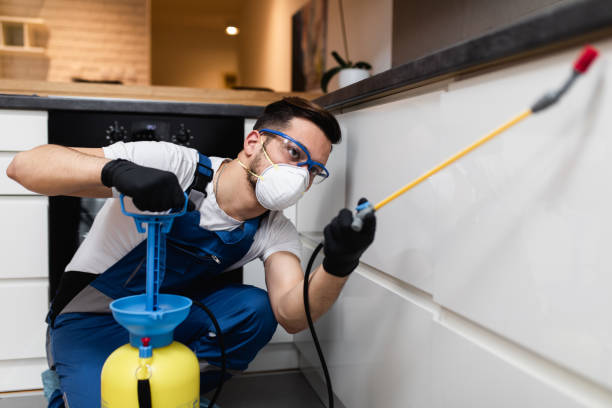 Best Termite Control Services  in Whitewater, WI