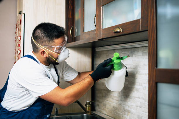 Flea Control Services in Whitewater, WI