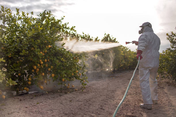 Best Best Pest Control Companies  in Whitewater, WI