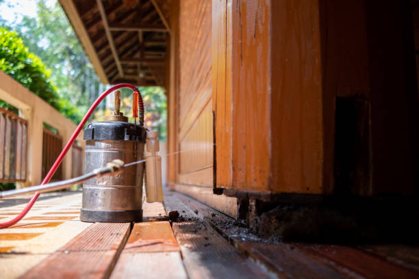Best Mosquito Control Services  in Whitewater, WI