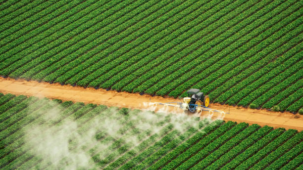 Best Pest Control for Homes  in Whitewater, WI