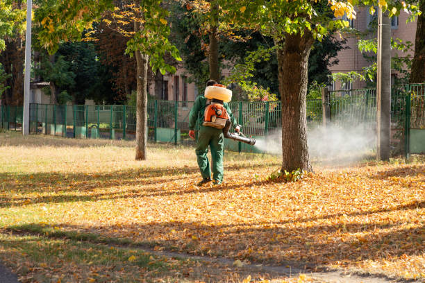 Trusted Whitewater, WI Pest Control Experts