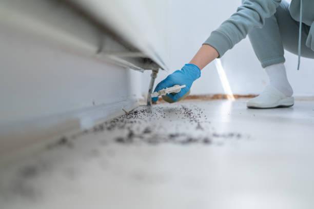 Best Wildlife Control Services  in Whitewater, WI